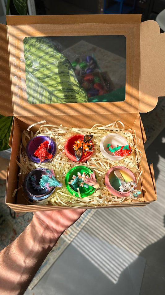 Mini dragon egg box 🪺