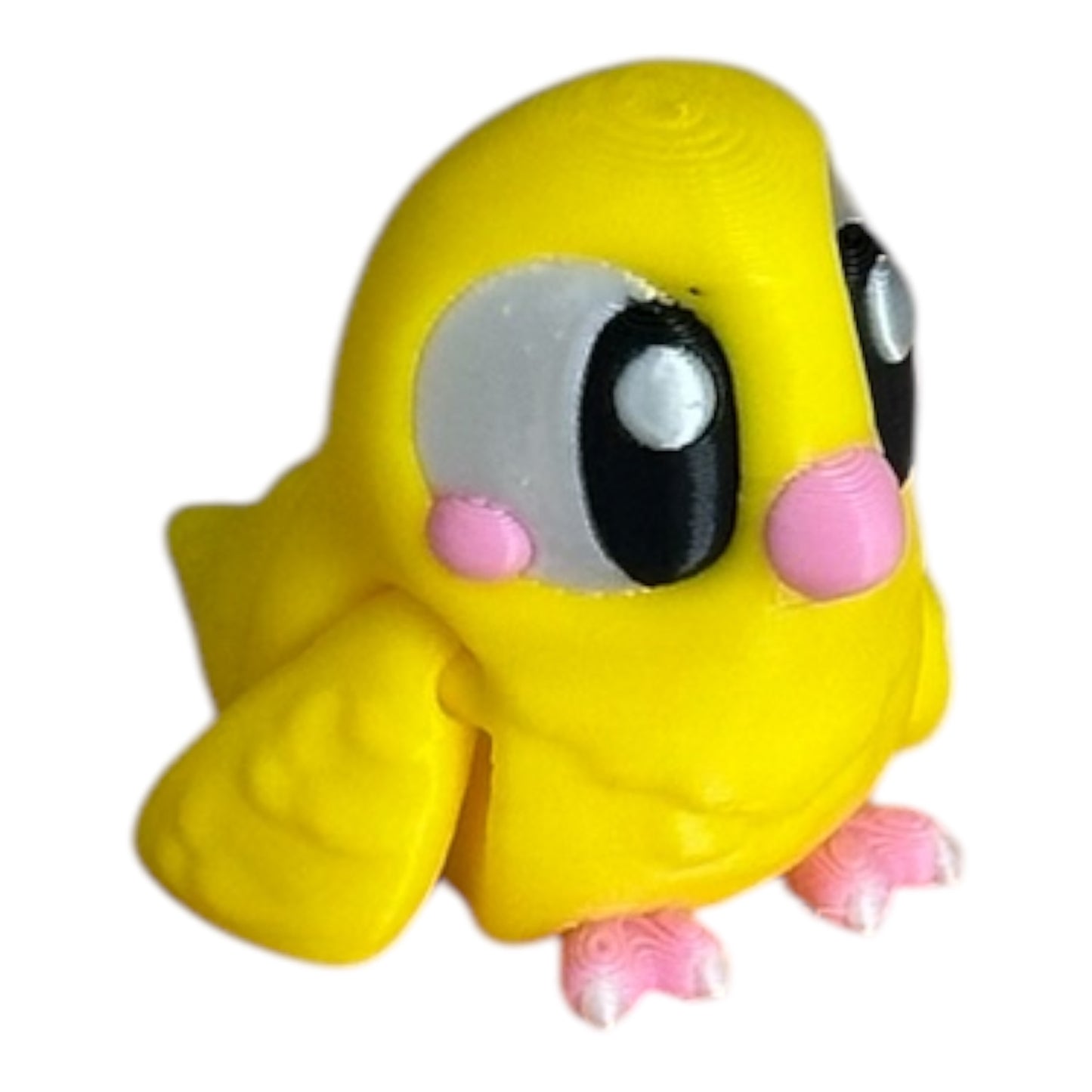 Baby bird