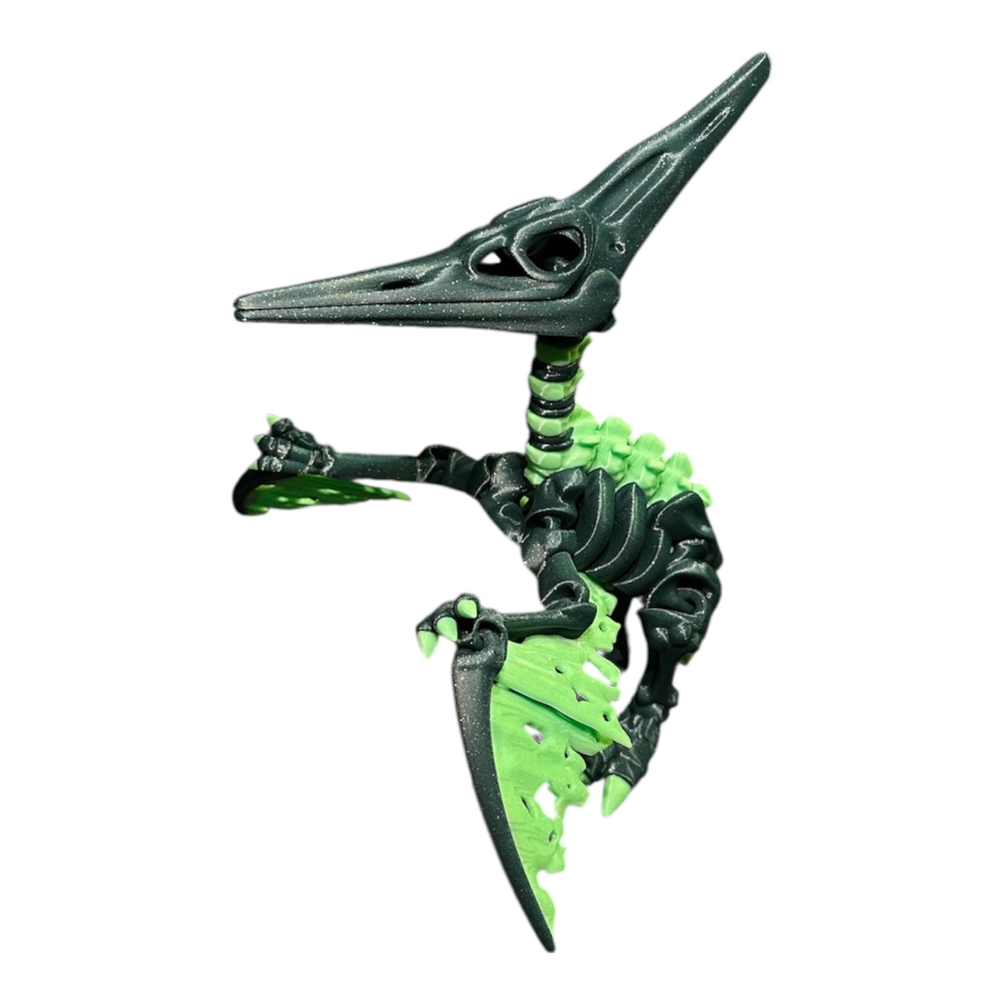 Pteranodon skeleton 🦖