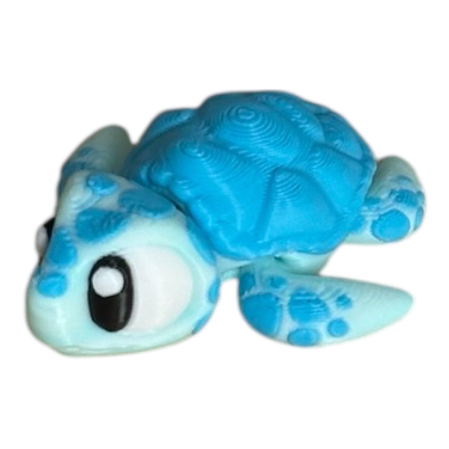 Baby blue sea turtle