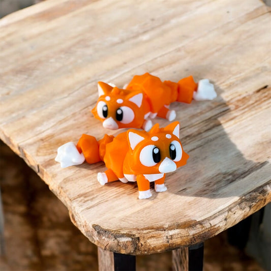 Orange baby cat π±