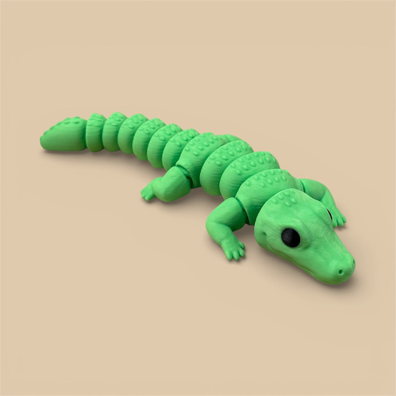 XL crocodile 🐊