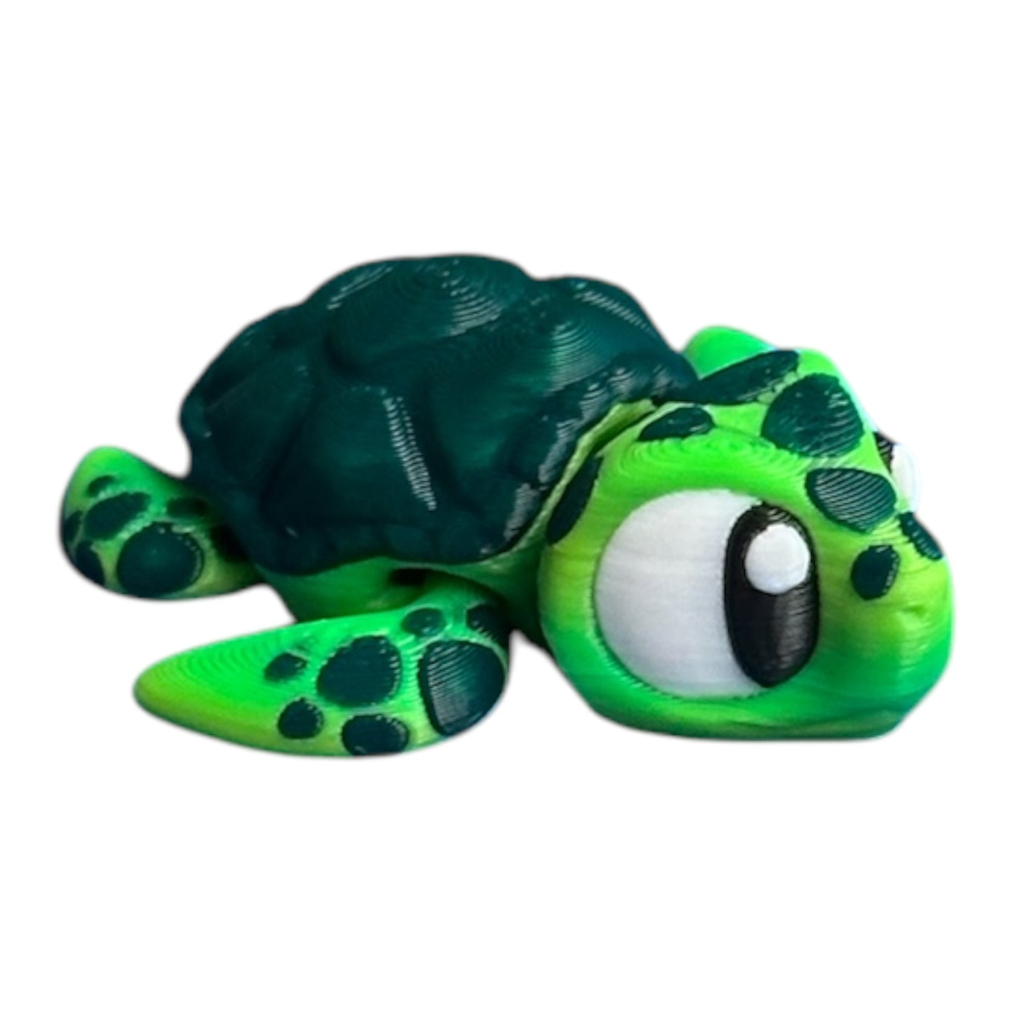 Mini sea turtle 🌊