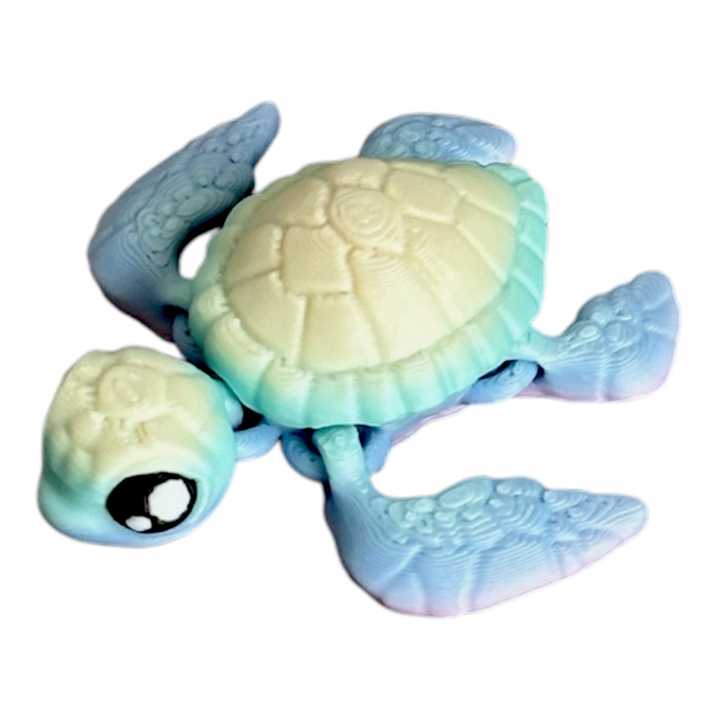 Sea turtle magic color