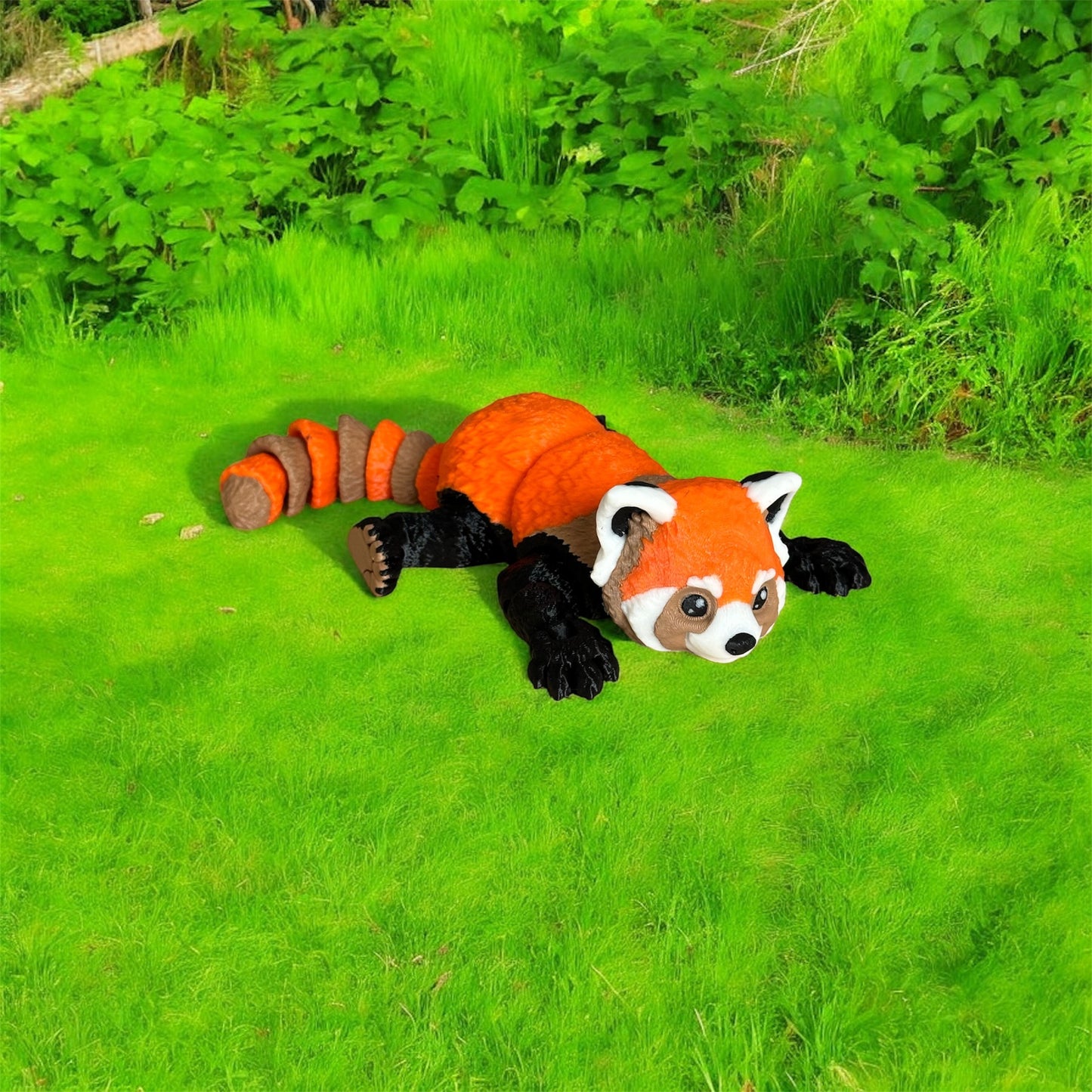 Red panda