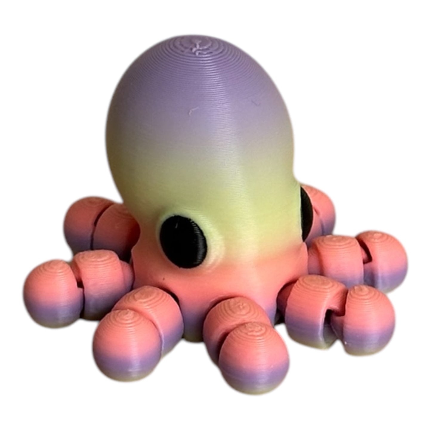 Rainbow octopus 🐙