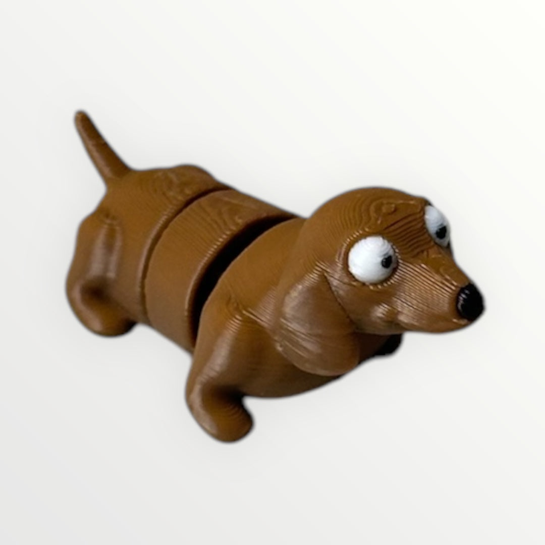 Mini dachshund dog