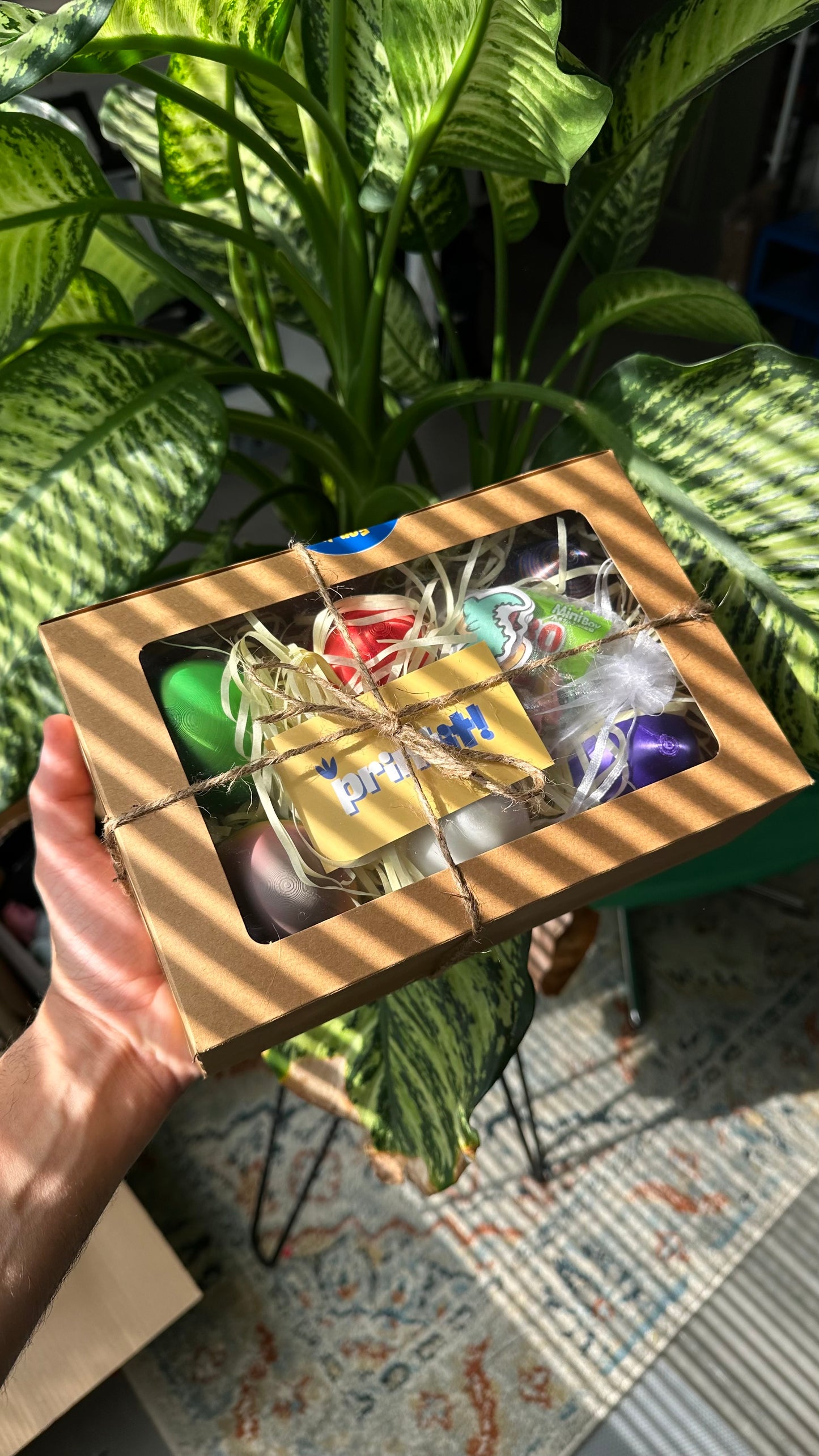 Mini dragon egg box 🪺