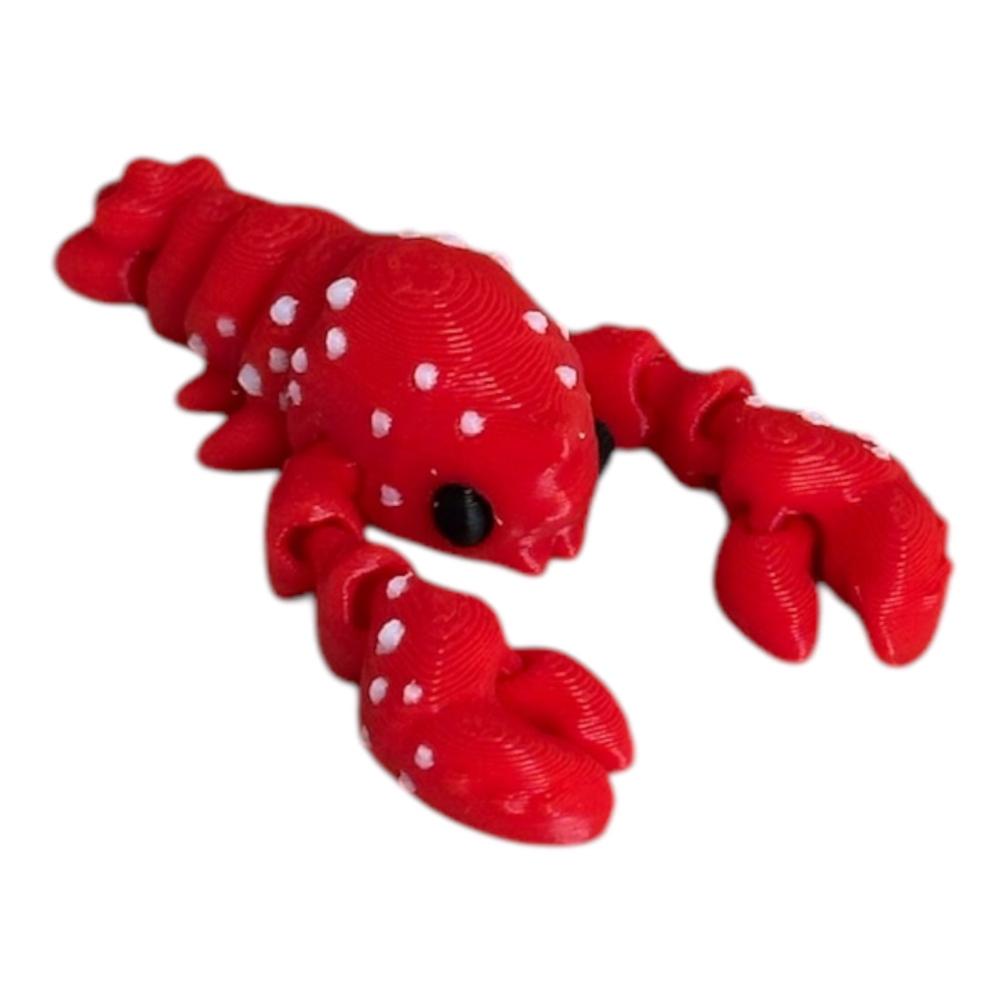 Mini lobster 🦞