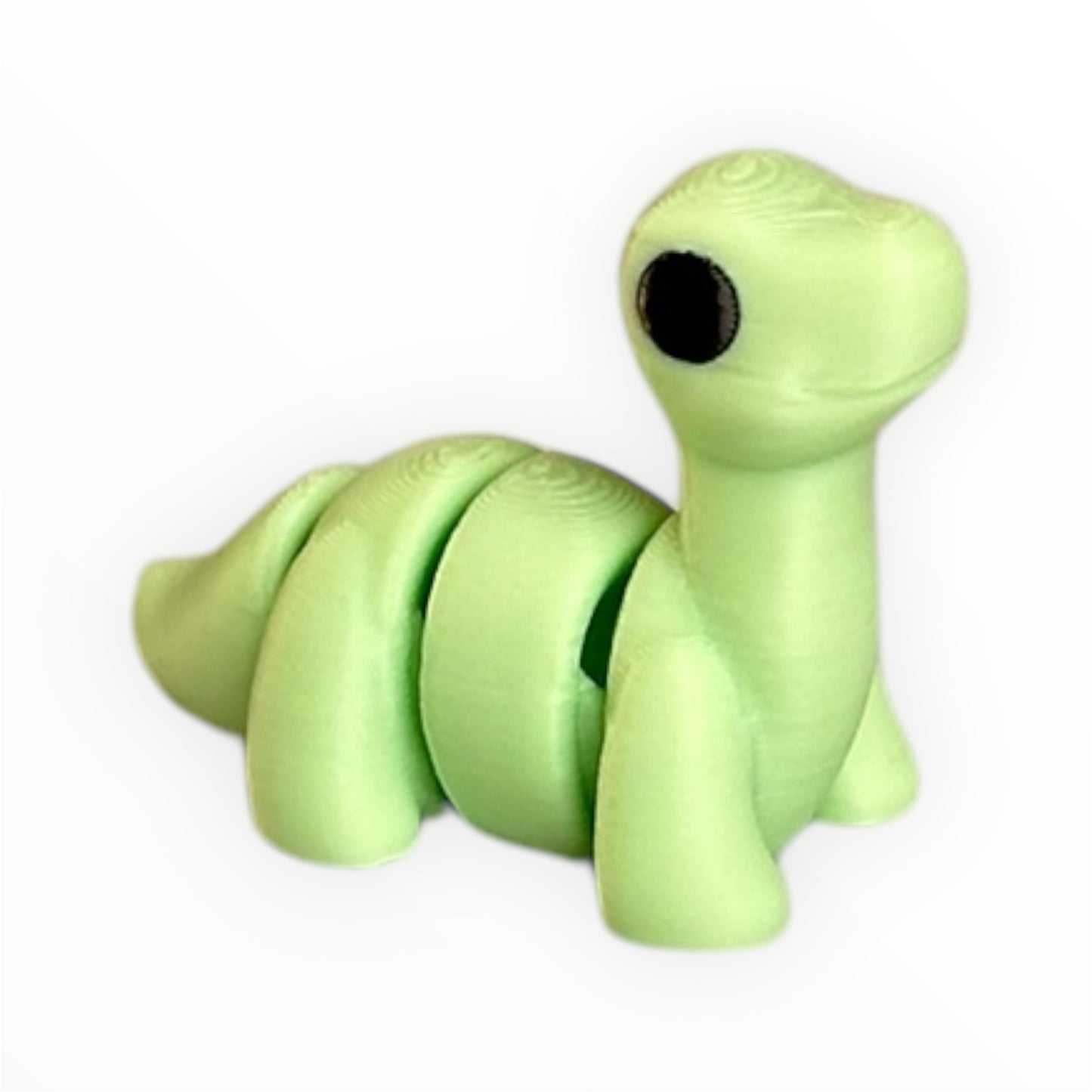 Baby Brontosaurus
