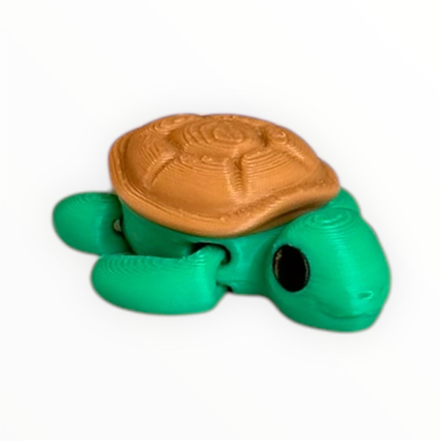 Mini Turtle