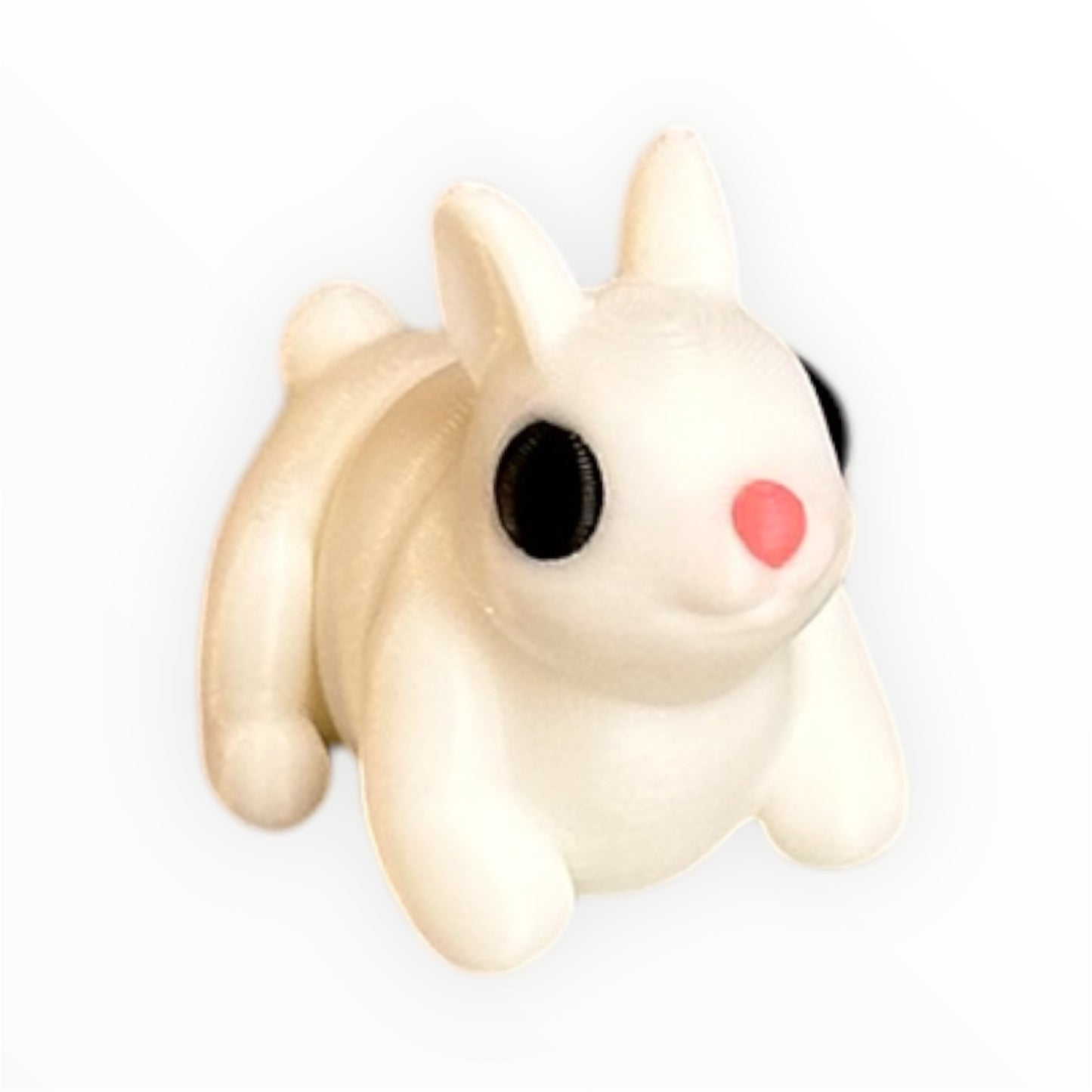 Baby Rabbit