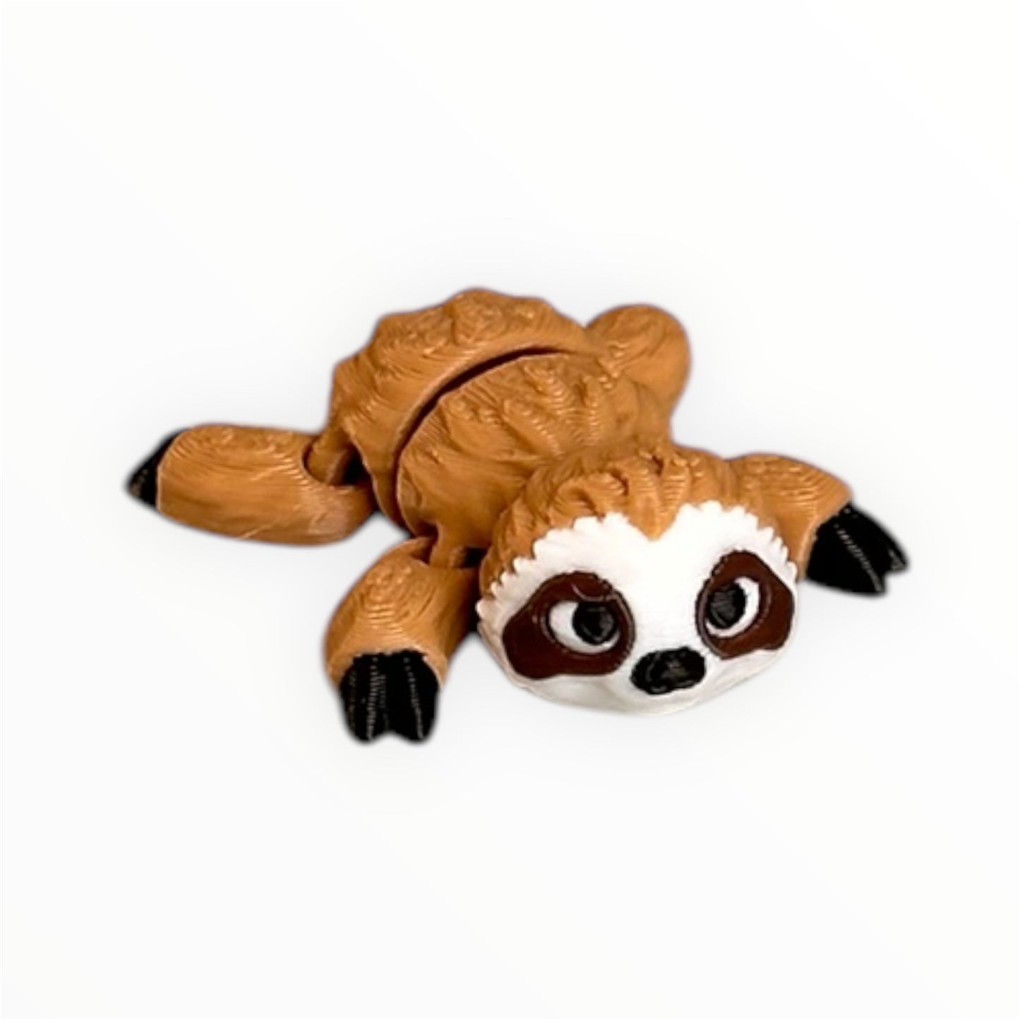 Baby Sloth