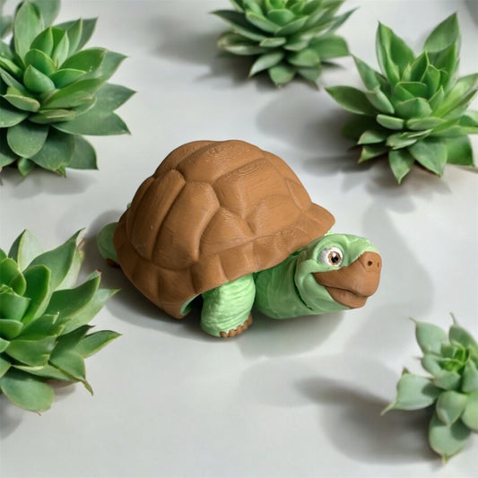 Mini XL Tortoise