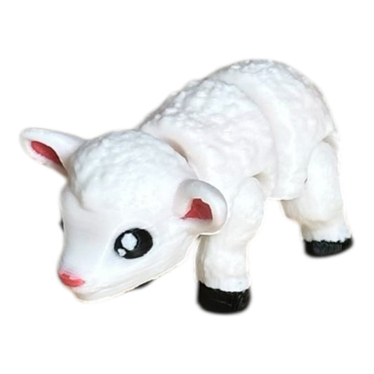 Baby lamb