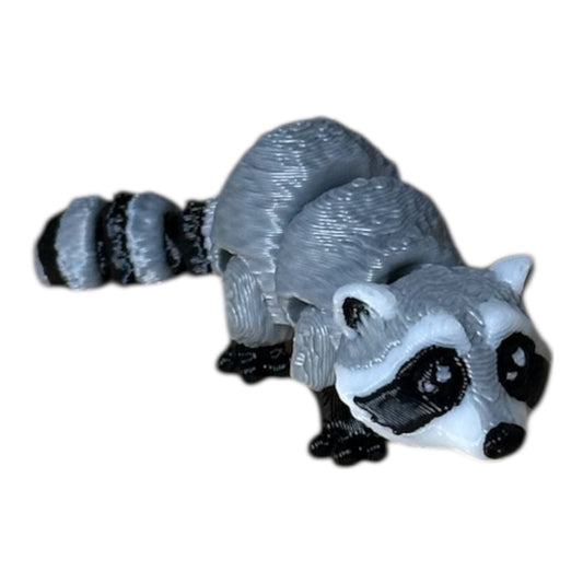 Baby raccoon