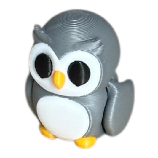 Baby owl