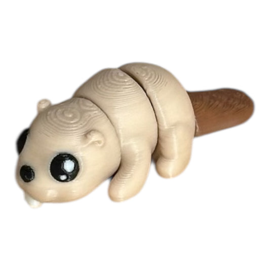Baby Beaver