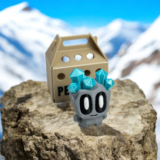 Pet Rock 🪨
