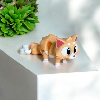Lovely cat 🐈