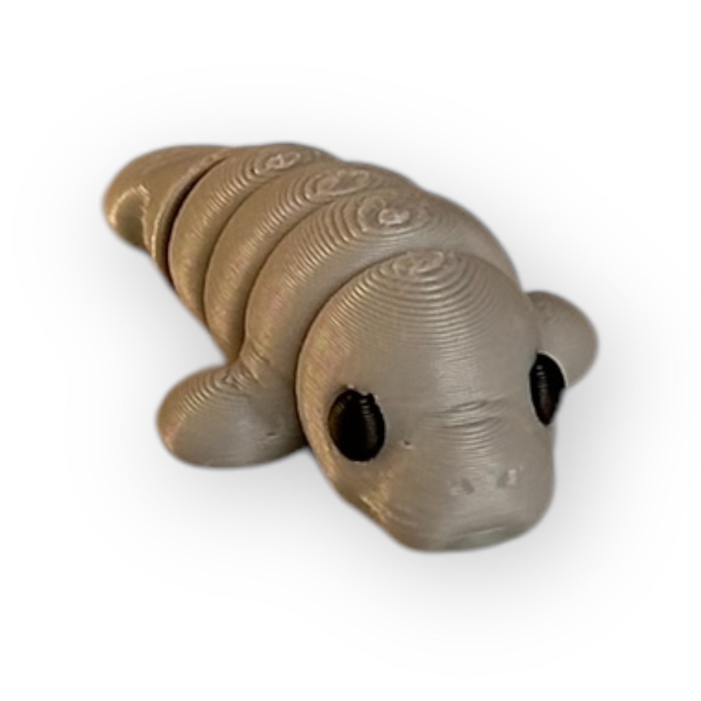 Baby Manatee